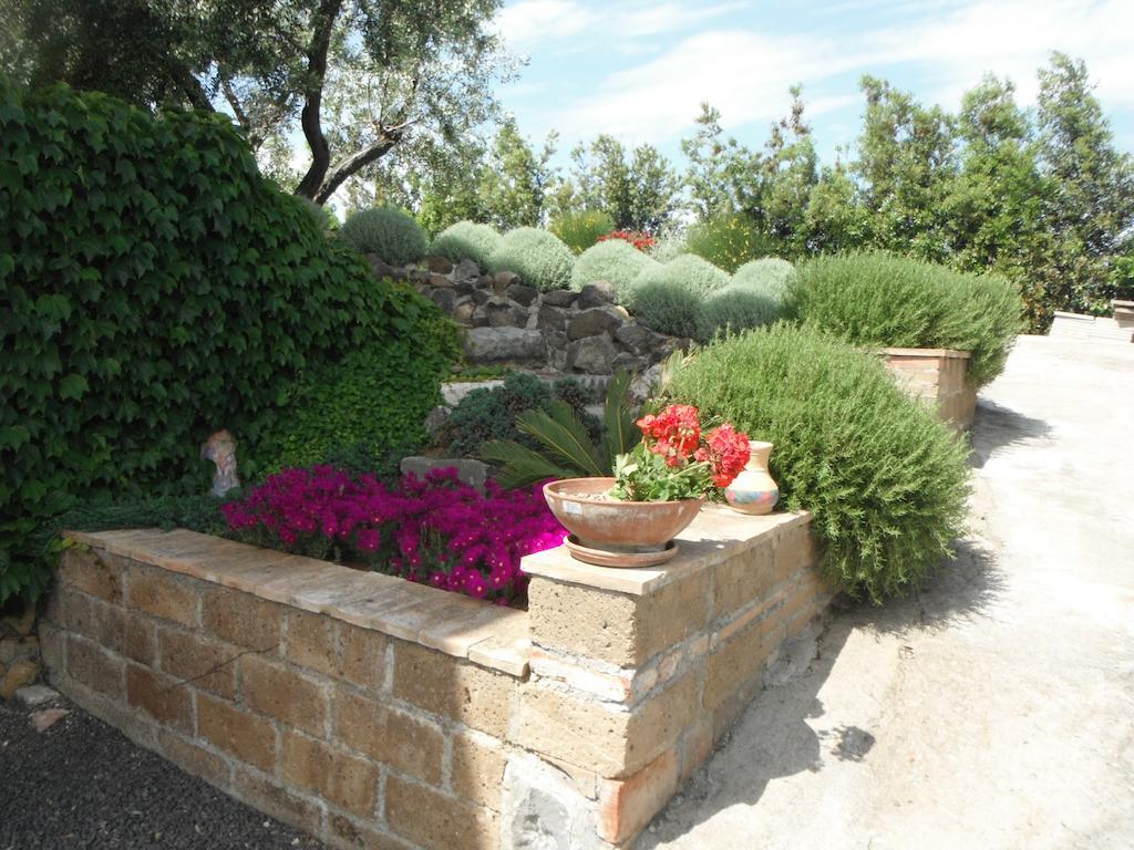 Locanda Degli Etruschi Montalto di Castro Luaran gambar