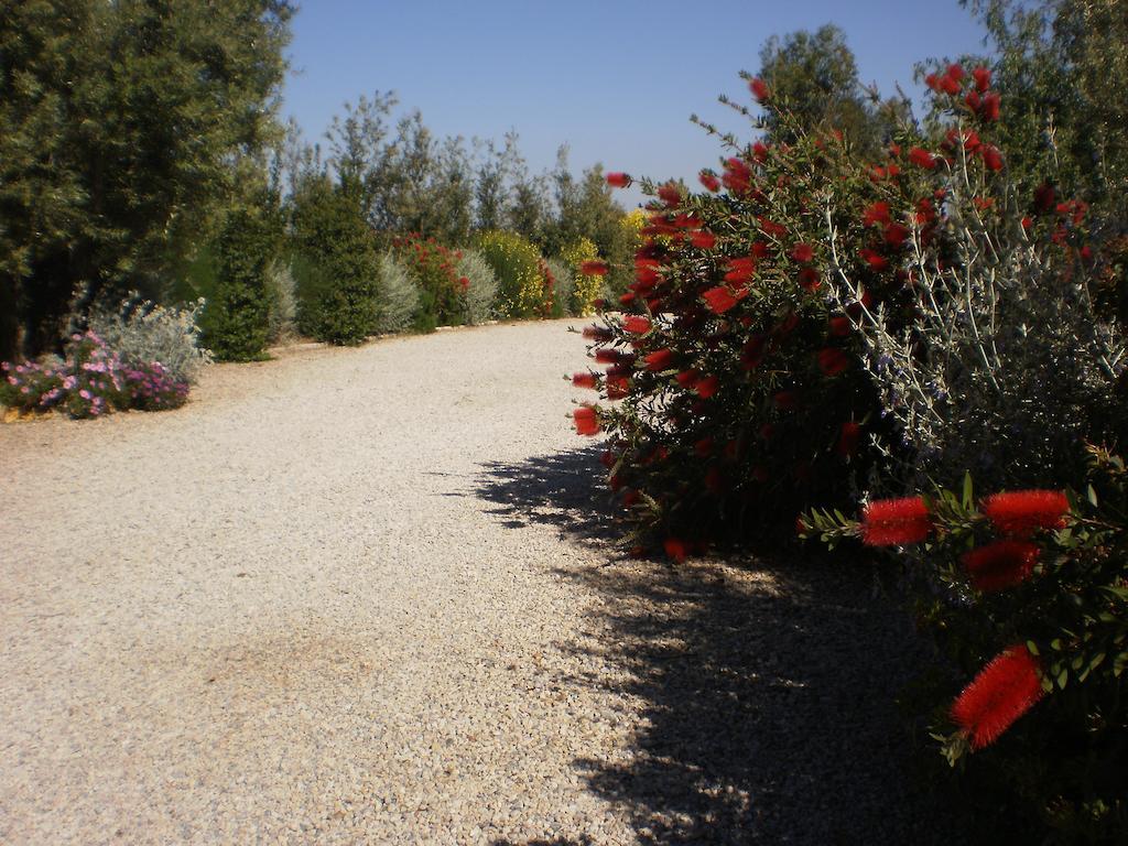 Locanda Degli Etruschi Montalto di Castro Luaran gambar