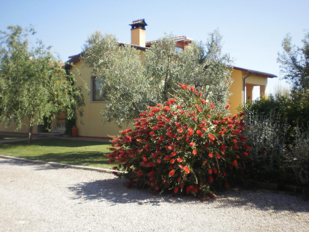 Locanda Degli Etruschi Montalto di Castro Luaran gambar