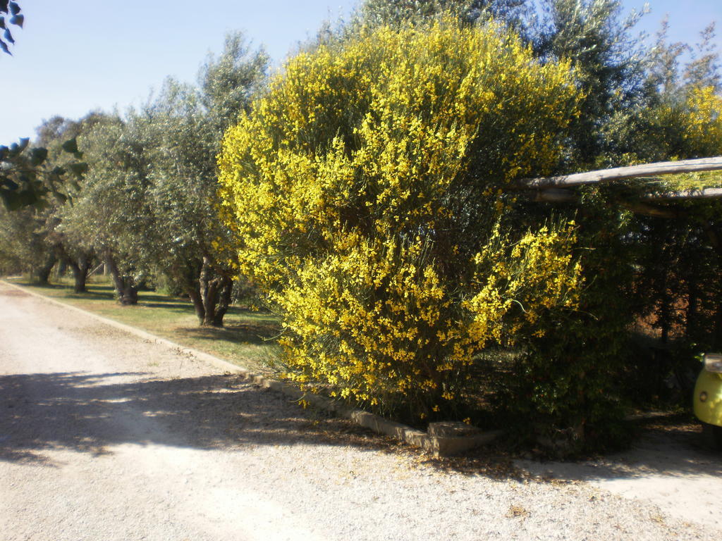 Locanda Degli Etruschi Montalto di Castro Luaran gambar